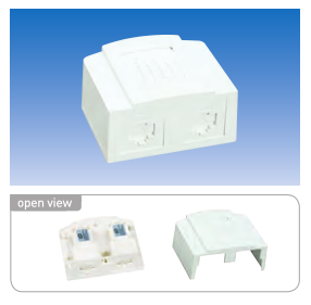 2p cat6, surface Mount jack Assembly